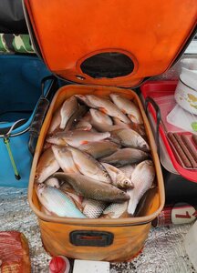 IMG_20230425_215051_592.jpg