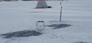 IMG_20231116_111756_201.jpg