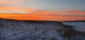 IMG_20231116_171822_523.jpg