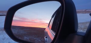 IMG_20231116_172612_638.jpg