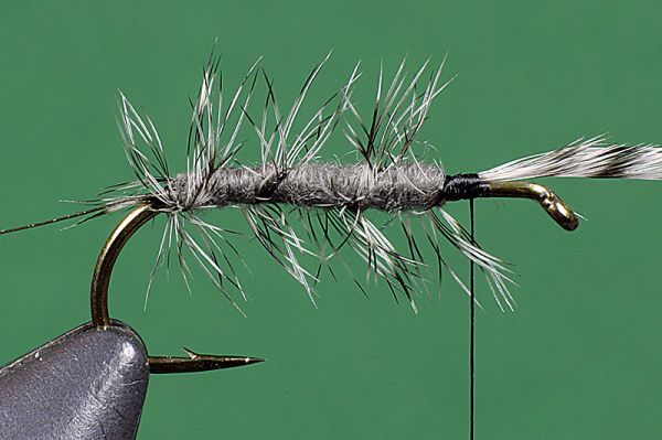 ADW CADDIS