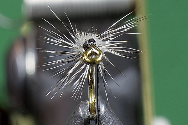 ADW CADDIS