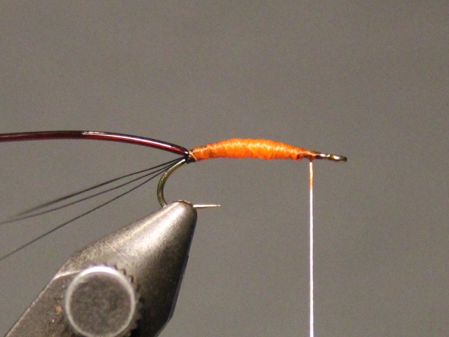 Adult Green Drake