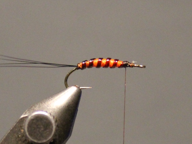 Adult Green Drake