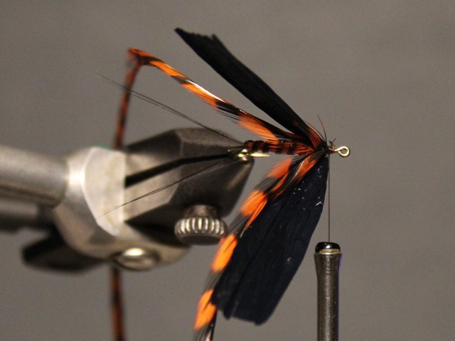 Adult Green Drake