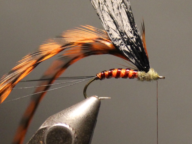 Adult Green Drake
