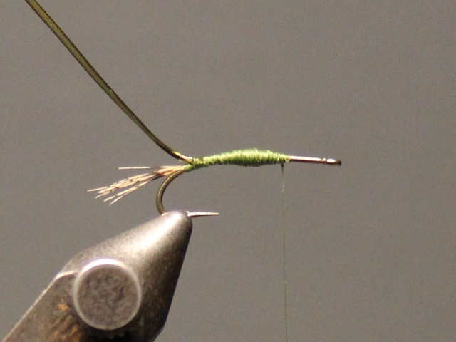Baetis Nymph