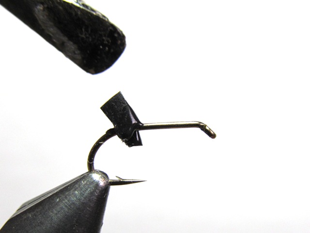 Black Ant