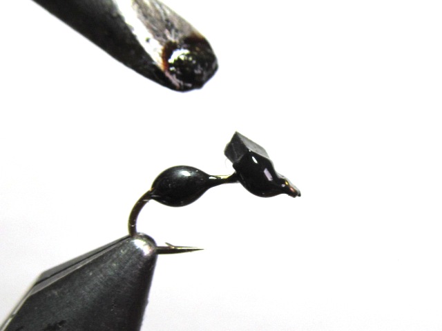 Black Ant