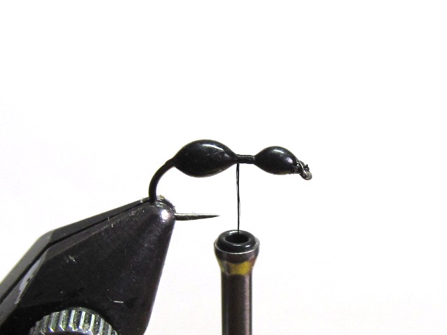 Black Ant