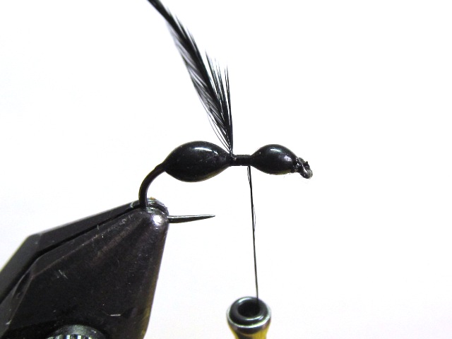Black Ant