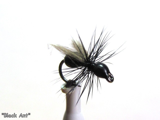Black Ant