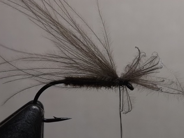 CDC CADDIS UA