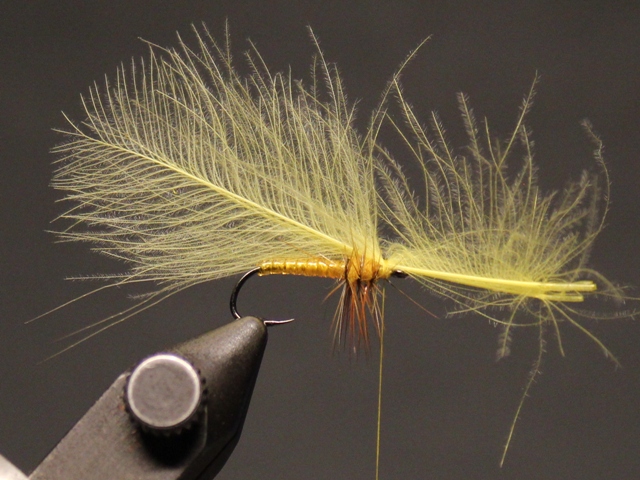 CDC Floating Emerger