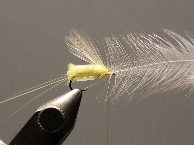 CDC Thorax Dun