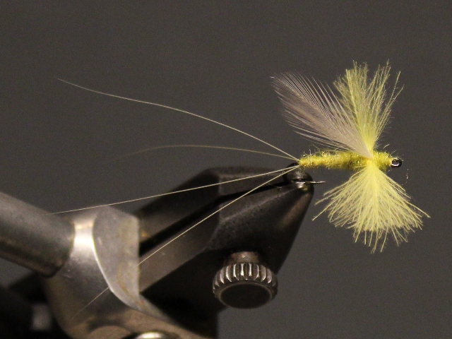 CDC Thorax Dun