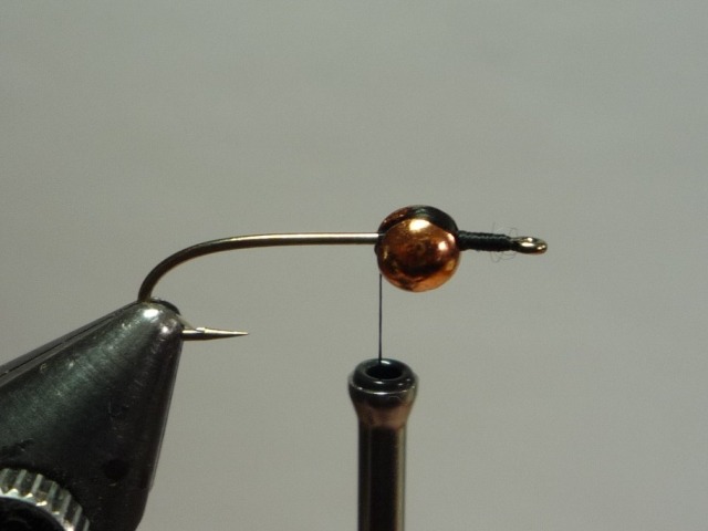 Clad Caddis