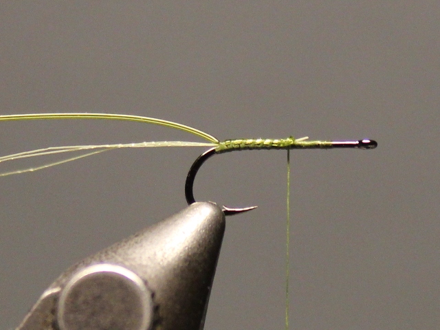 Crippled Emerger