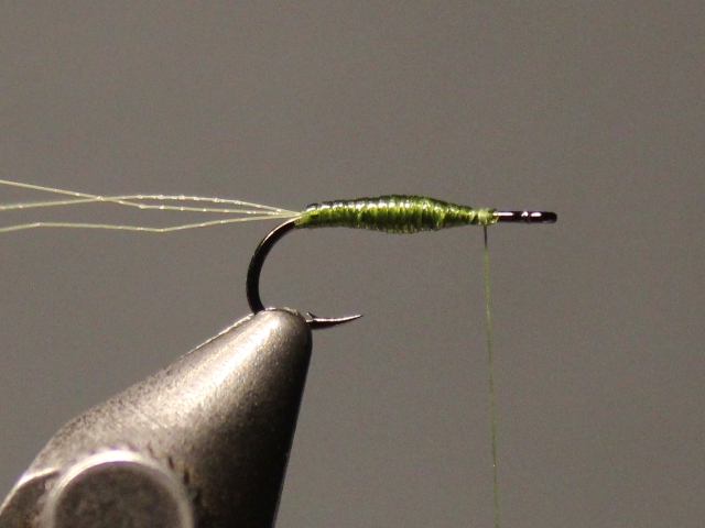 Crippled Emerger
