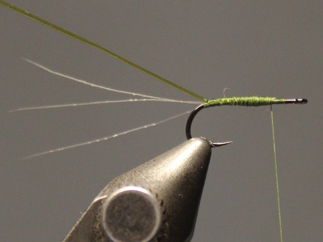 Crippled Spinner