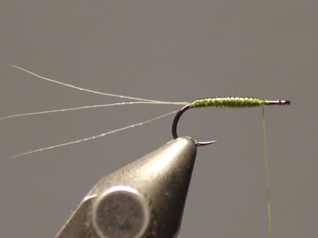 Crippled Spinner