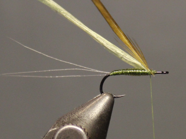 Crippled Spinner