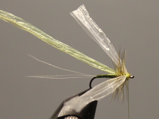 Crippled Spinner