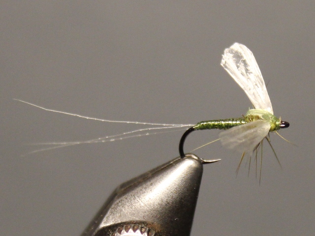 Crippled Spinner