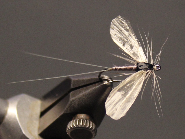 Deer Spinner