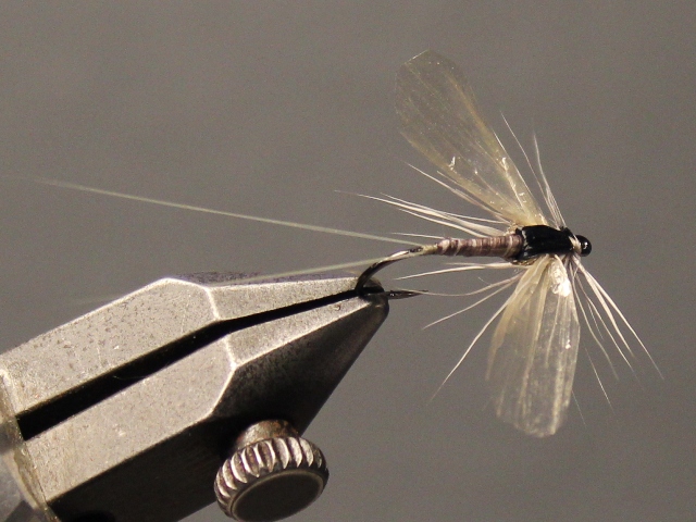 Deer Spinner