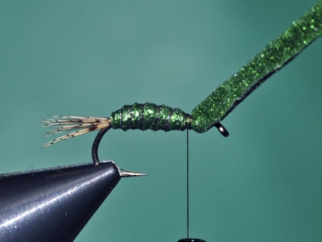 Dung Fly