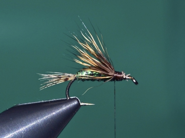 Dung Fly