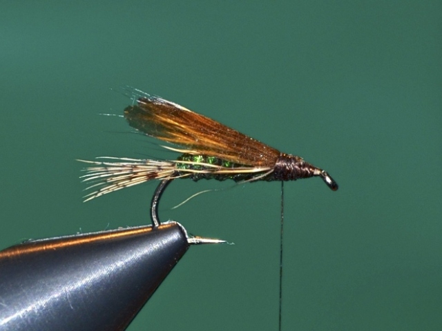 Dung Fly