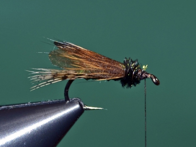 Dung Fly