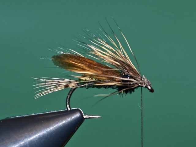 Dung Fly