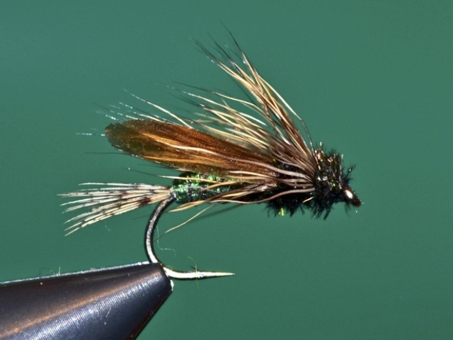 Dung Fly