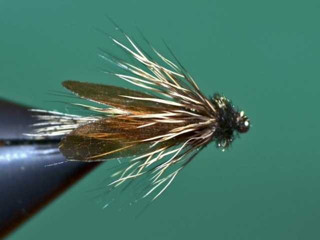 Dung Fly