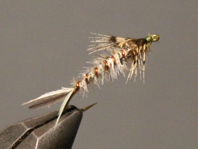 Gilled Nymph