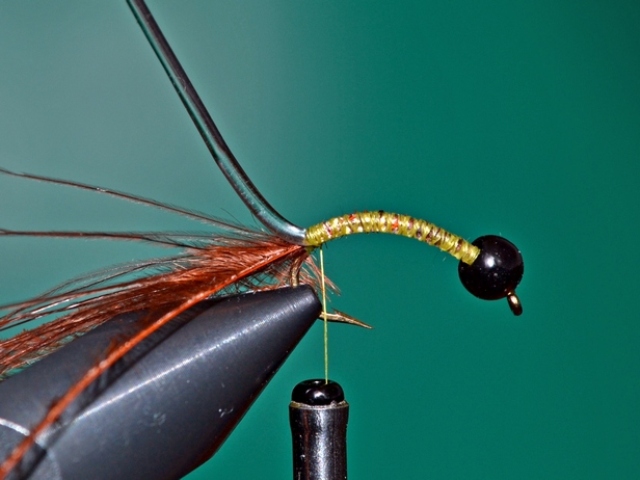 Hydropsychoidea