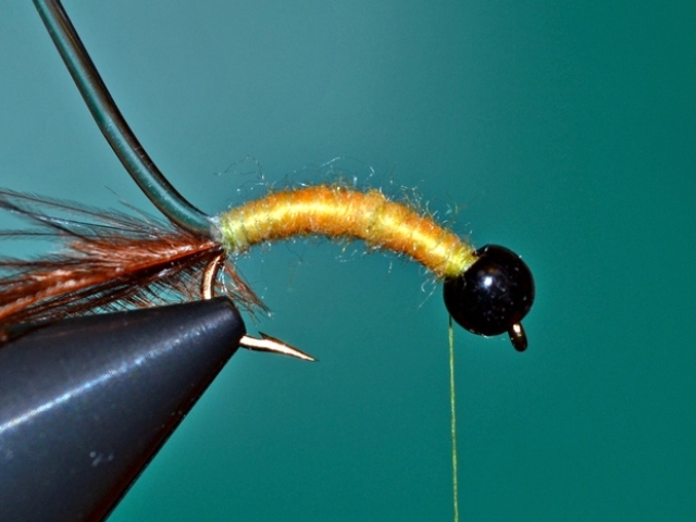 Hydropsychoidea