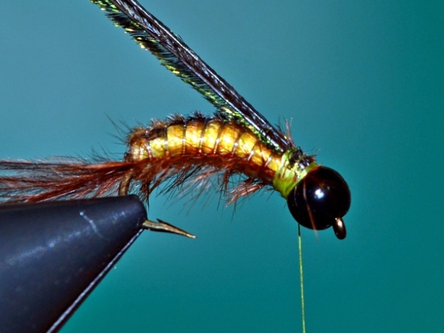 Hydropsychoidea