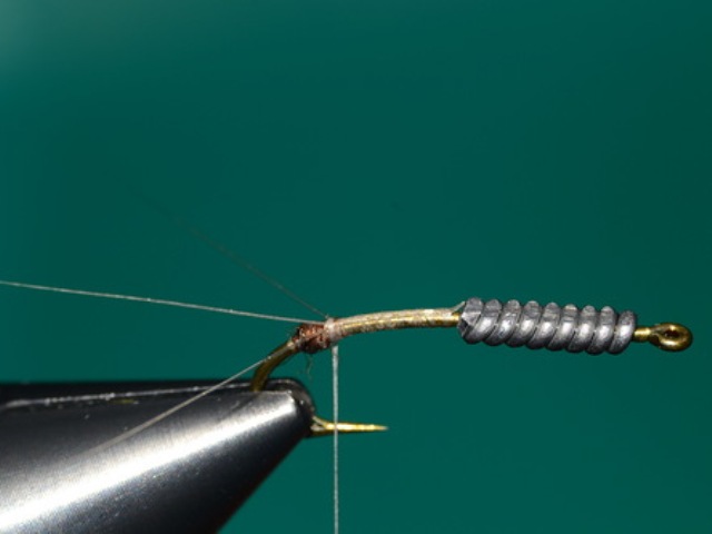 Mayfly Nymph