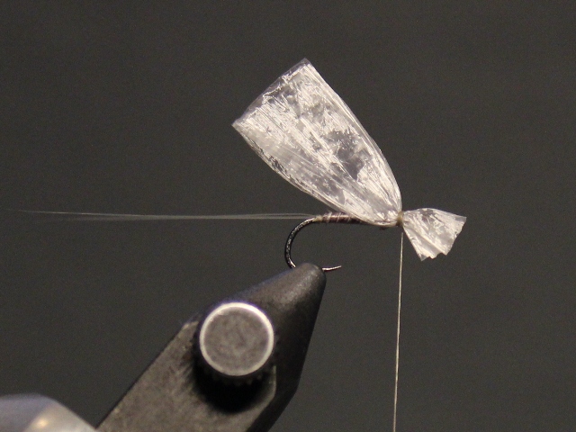 Medallion No Hackle