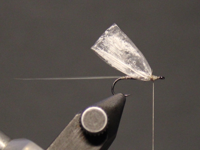 Medallion No Hackle