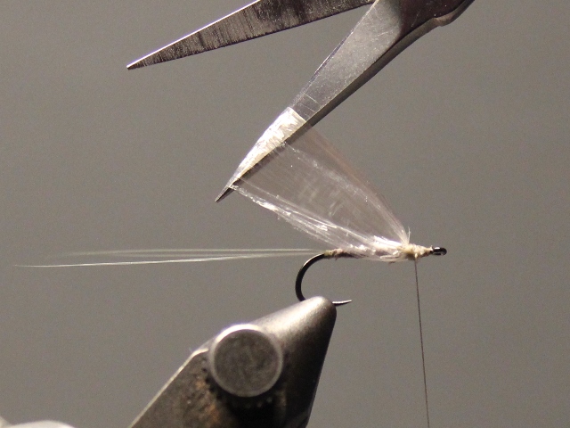 Medallion No Hackle