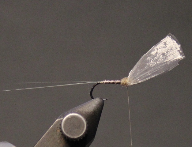 Medallion No Hackle