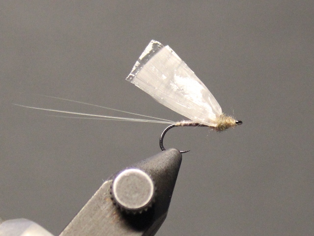 Medallion No Hackle