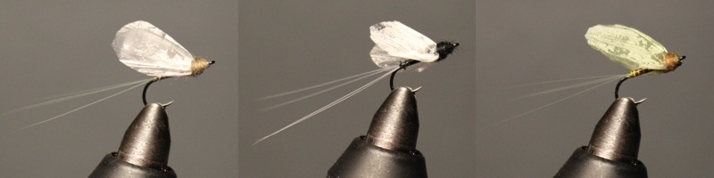 Medallion No Hackle
