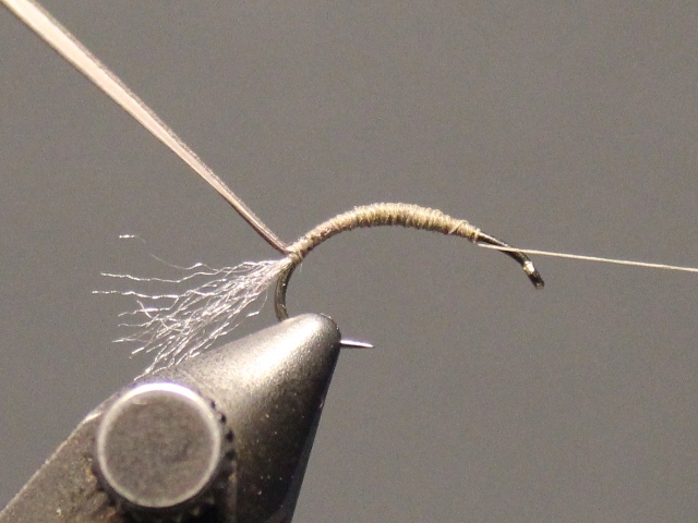 Parachute Emerging Dun