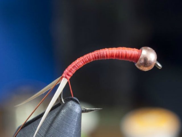 Prince Nymph